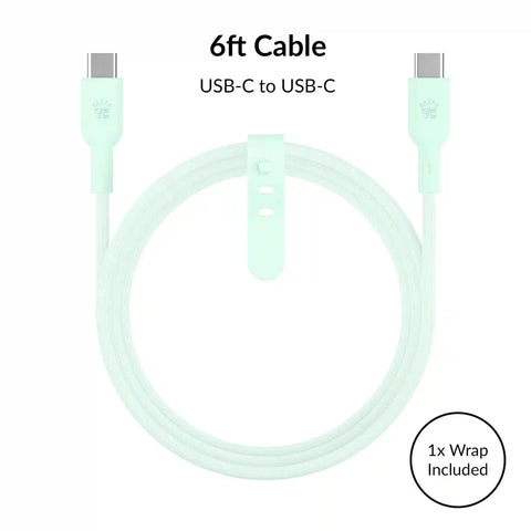Mint Fast Charging Set, Dual Port Wall Adapter + 6ft USB-C Cable